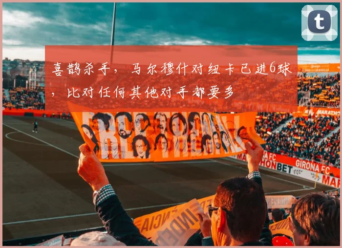 喜鹊杀手，马尔穆什对纽卡已进6球，比对任何其他对手都要多